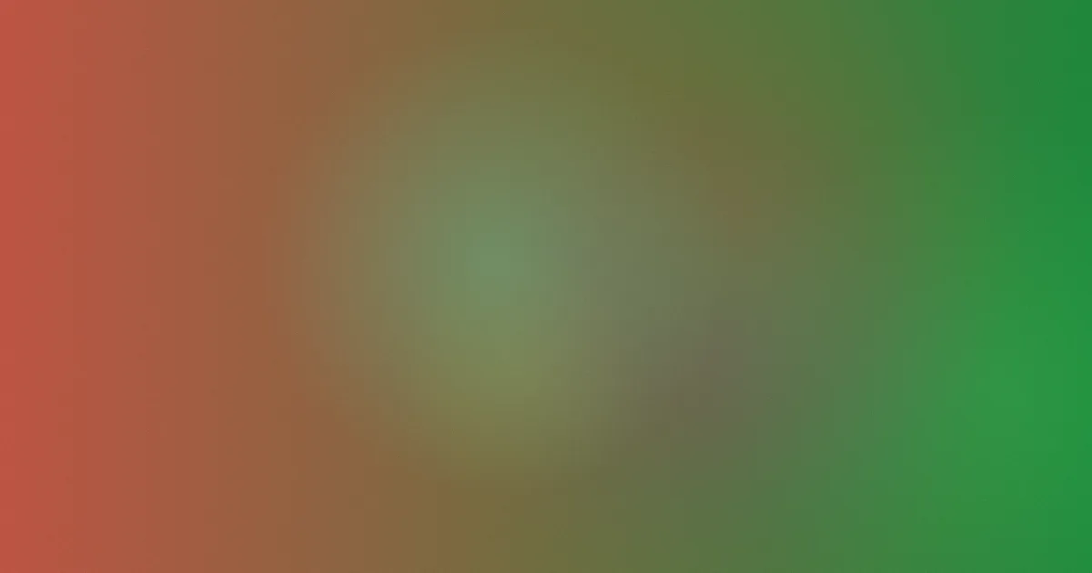 贝茨球对比：一次真实复盘